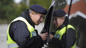 Policisté a armáda během cvičné obnovy hraničních kontrol na přechodech s Rakouskem. Na snímku kontroly v Mikulově