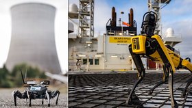 Experti z ČVUT vyhráli peníze na nové roboty.