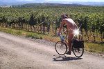 S naháči se na jižní Moravě roztrhl pytel. Takto fotopast  nachytala nedávno mezi vinicemi nahého cyklistu.