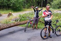 Strom přepůlil peloton cyklistů. Jen těsně mu unikl i autobus