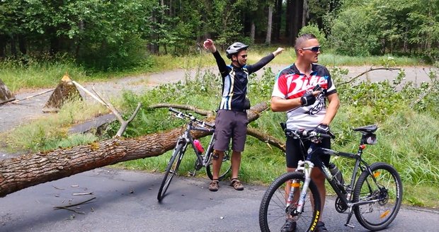 Rozjetým cyklistům spadl strom přímo do cesty