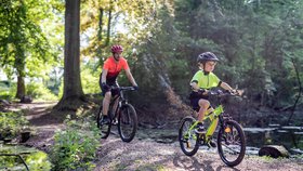 V nabídce kol najdete modely pro úplné začátečníky či rekreační cyklisty na krátké rodinné vyjížďky v pohodovém tempu po méně náročném povrchu
