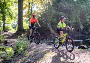 V nabídce kol najdete modely pro úplné začátečníky či rekreační cyklisty na krátké rodinné vyjížďky v pohodovém tempu po méně náročném povrchu