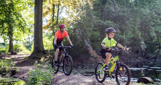 V nabídce kol najdete modely pro úplné začátečníky či rekreační cyklisty na krátké rodinné vyjížďky v pohodovém tempu po méně náročném povrchu