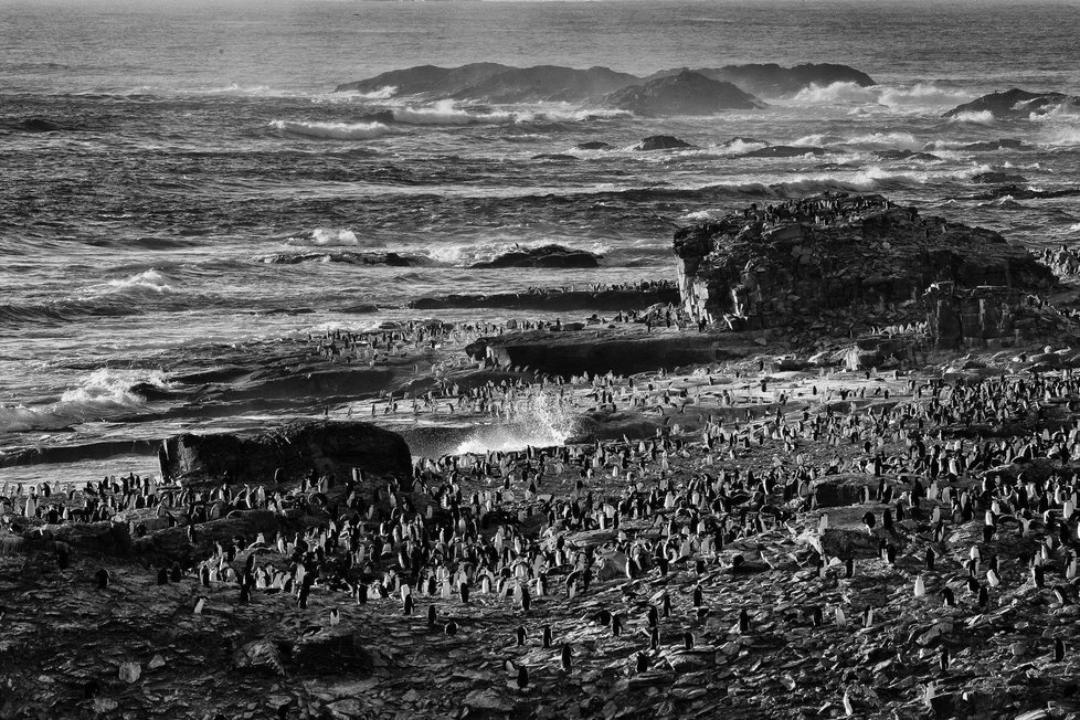 V kategorii Příroda a životní prostředí zvítězil Václav Šilha se sérií Antarktida - jiná planeta, leden 2012