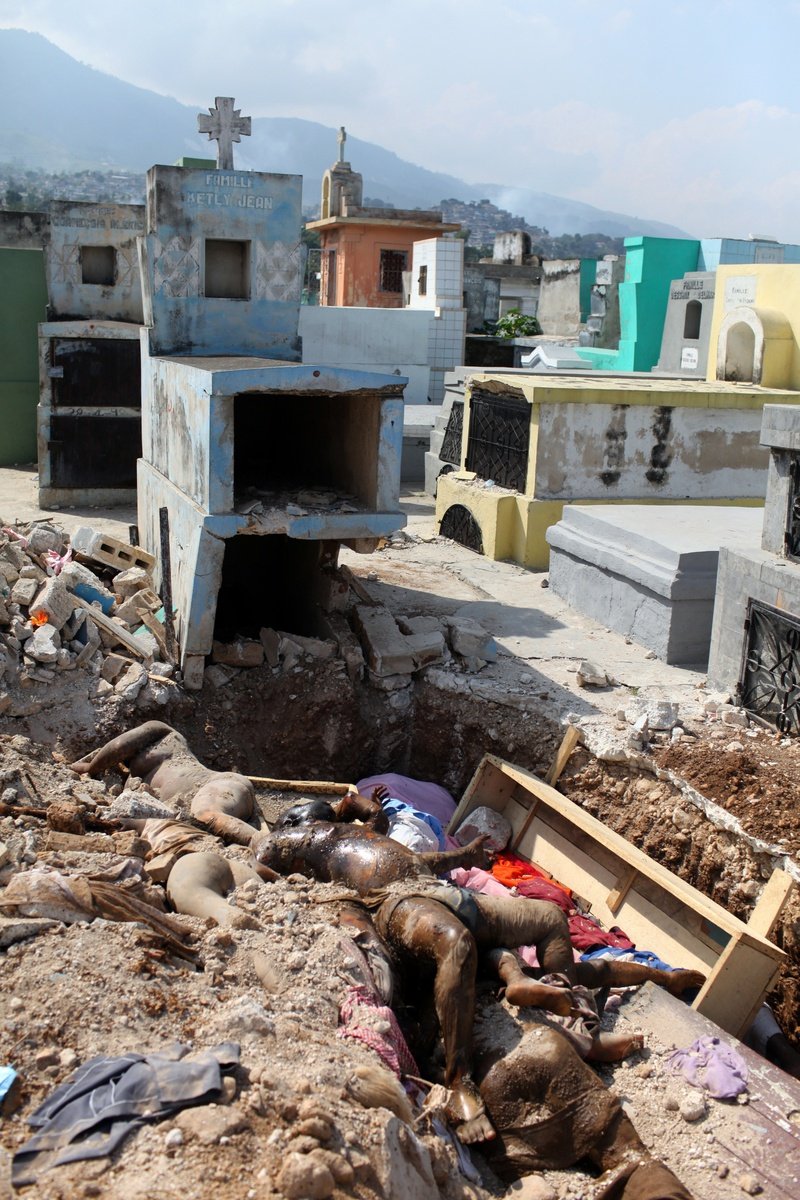 Jan Šibík z časopisu Reflexu, který vydává stejné vydavatelství jako deník Blesk, zachytil rabování a násilí po zemětřesení na Haiti. Jeho série fotek se porotcům líbila nejvíc v kategorii Aktualita.