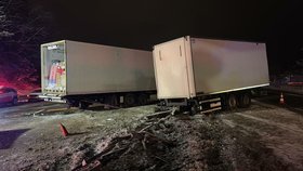 Nehoda kamionů uzavřela D1.