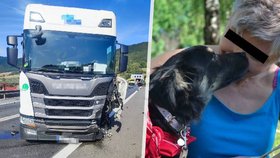 Števka zemřela na dálnici D1, její dcera bojuje o život