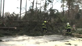 Dálnice D1 zůstane mezi kilometry 119. a 134. směrem na Brno až do rána uzavřená. Na Prahu je doprava vedena jedním jízdním pruhem. Důvodem jsou popadané stromy na vozovku