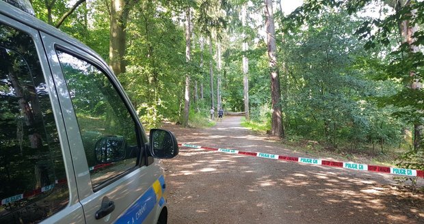 V Ďáblickém háji zasahuje policie. Hledači pokladů tam našli garnáty a náboje.