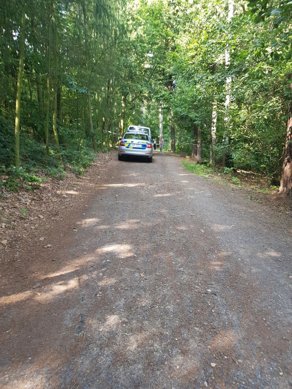 V Ďáblickém háji zasahuje policie. Hledači pokladů tam našli garnáty a náboje.