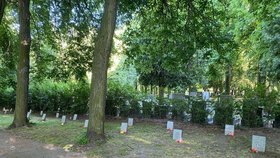 Všude dobře, na hřbitově nejlíp! Pražské hřbitovy plní roli chladných oáz v rozpálené metropoli