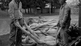 Američané při osvobození koncentračního tábora Dachau přišli na nacistická zvěrstva. Několik desítek dozorců a vojáků pak na místě bez soudu popravili.