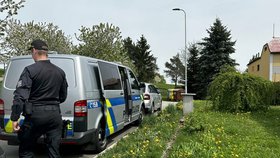 Policie obvinila staršího muže z Jindřichohradecka z vraždy družky. (16.4.2024)