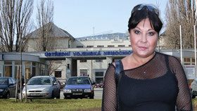 Nejen bolavá duše kvůli manželově nevěře, Dádu Patrasovou (59) zradila na konci roku i záda.