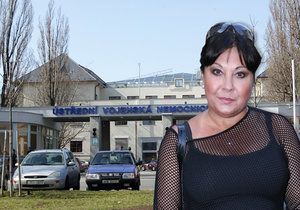 Nejen bolavá duše kvůli manželově nevěře, Dádu Patrasovou (59) zradila na konci roku i záda.