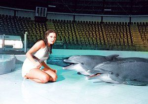 Na začátku byli delfíni milí a hraví, pak ale zaútočili!