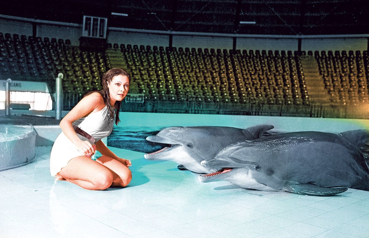 Na začátku byli delfíni milí a hraví, pak ale zaútočili!