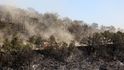 Požár v řeckém národním parku Dadia