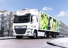 DAF CF Hybrid zamířil do běžného provozu 