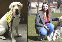 Pes zachránce: Dokáže vyčmuchat glykemický záchvat. Daga vycvičili v Praze, pomáhá Štěpánce (18) v Karviné