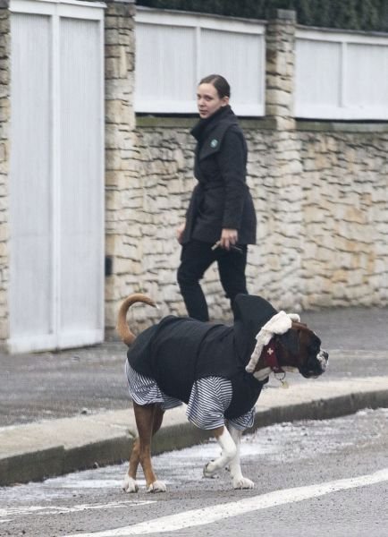 Dagmar Havlová měla o milovanou boxerku strach.