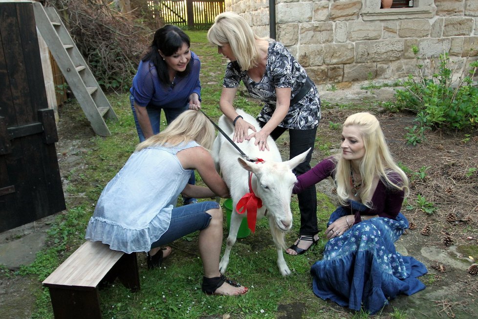 Na své chatě dámy učila dojit kozu, čehož se jako první ujala Světlana Nálepková.
