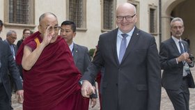 Někdejší ministr kultury Daniel Herman s tibetským duchovním vůdcem 14. dalajlámou