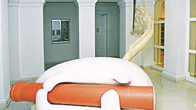 O toskánské vile Dalík tvrdil, že s ní nemá nic společného a jen si ji od lichtenštejnské fi rmy pronajímá. Neuvěřitelnou »náhodou « se ale na její verandě objevila socha českého výtvarníka Lukáše Rittsteina jménem Tanči Anči za několik set tisíc.