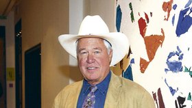 Ray Kebbs z Dallasu udělal z Kanalyho sexsymbol 80. let