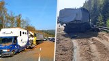 Nehoda dvou nákladních aut na D1: Jeden vůz převážel koně, dvě zvířata nepřežila