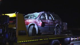 Sražená kráva uzavřela dálnici D1