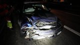 D10 u Mladé Boleslavi zablokovala krvavá nehoda: Auto se srazilo s divočáky