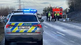 Hromadná dopravní nehoda na dálnici D10