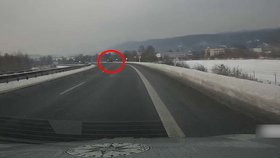 Žena na Karlovarsku si zkracovala cestu po dálnici.