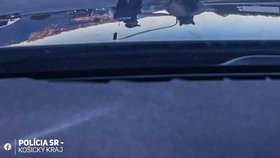 Po slovenské dálnici se proháněl kůň, musela zakročit policie