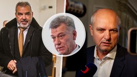 Proti stíhání v bitcoinové kauze se ohradili stížností všichni tři noví obvinění
