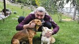 Hůlka si jede pro toulavé psy do Řecka