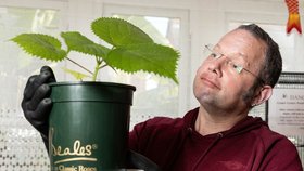 Brit Daniel Emlyn-Jones z Oxfordu doma vypěstoval nejnebezpečnější rostlinu světa!