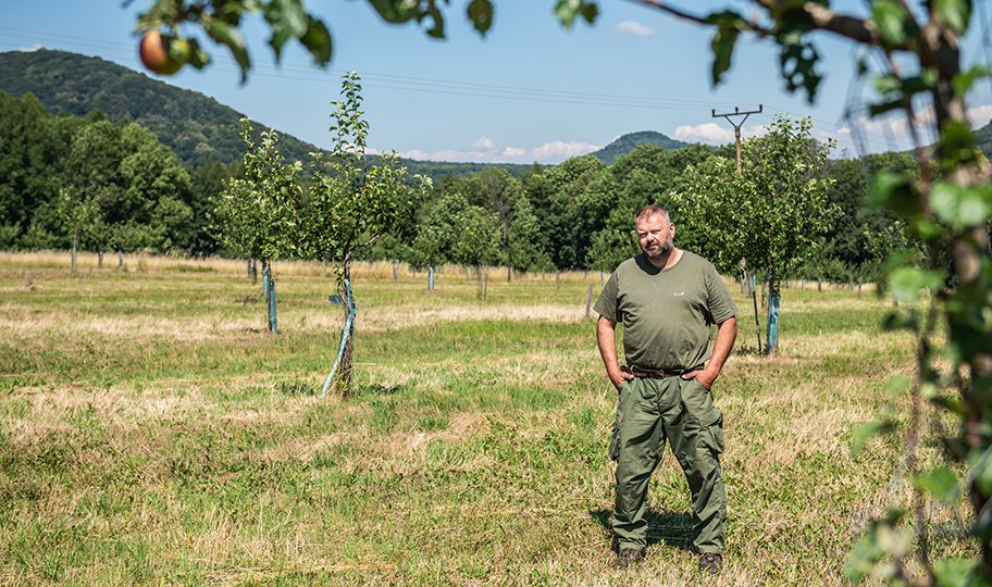 Daniel Pitek je český soukromý zemědělec, sedlák a lesník.