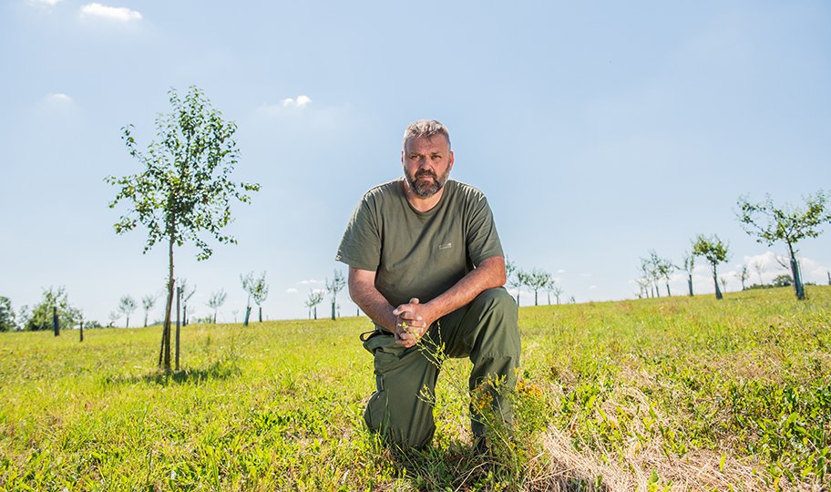 Daniel Pitek je český soukromý zemědělec, sedlák a lesník.