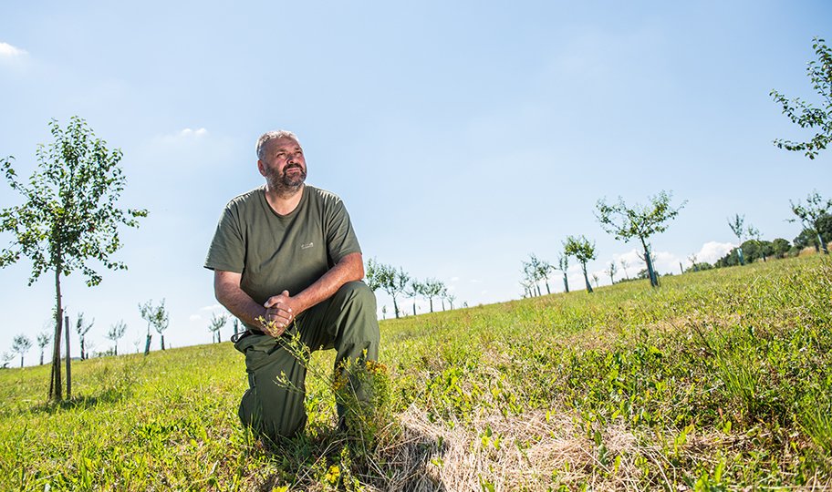 Daniel Pitek je český soukromý zemědělec, sedlák a lesník.