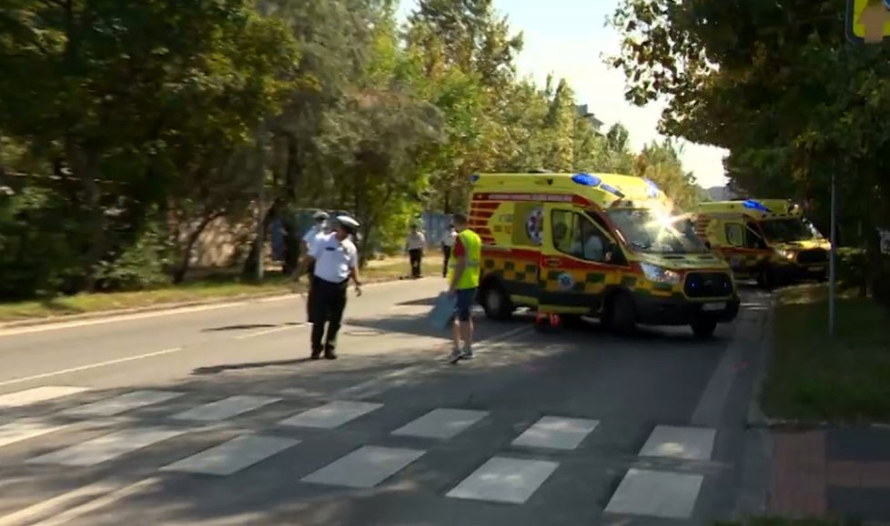 Kralevich jde z problému do problému. V září pod koly jejího SUV zahynula studentka (†18), nyní bývalé finalistce soutěže krásy a podnikatelce úřady nařídily odstranit její černou stavbu na bratislavském přírodním koupališti.