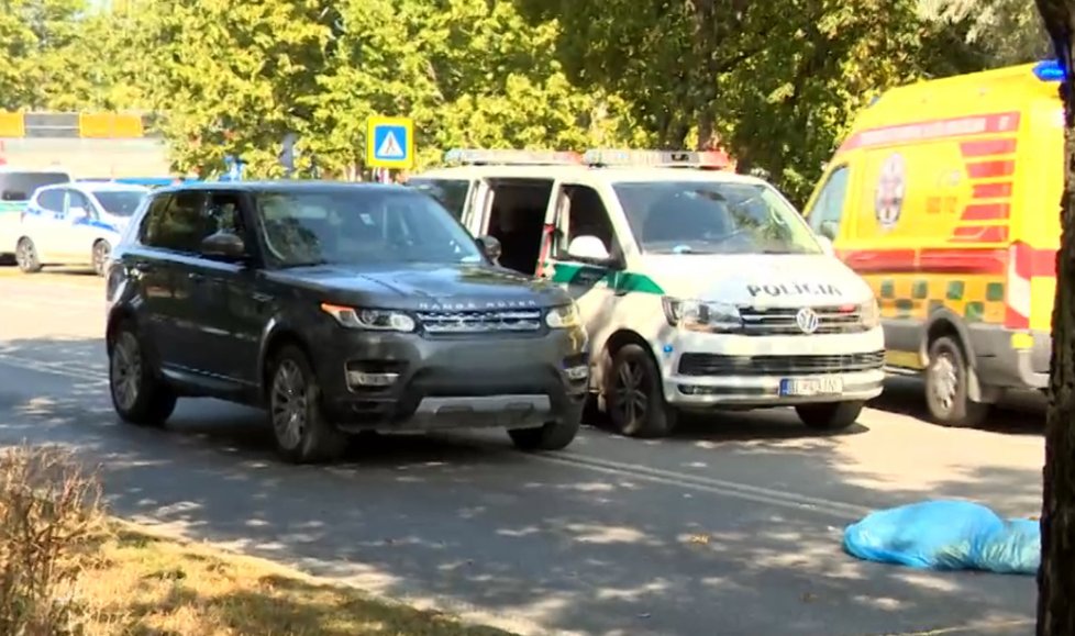 Při tragické nehodě zemřela studentka Linh (†18).