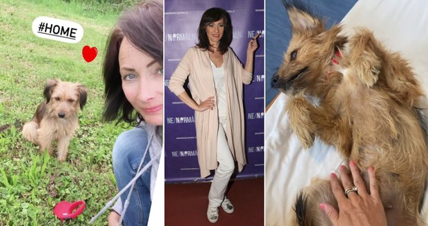 Herečka Daniela Šinkorová si už dovezla domů pejska ze Sardinie