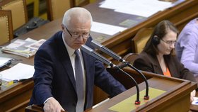 Sněmovna řešila bod „Daňové podvody ministra financí“: Jaroslav Faltýnek (ANO).