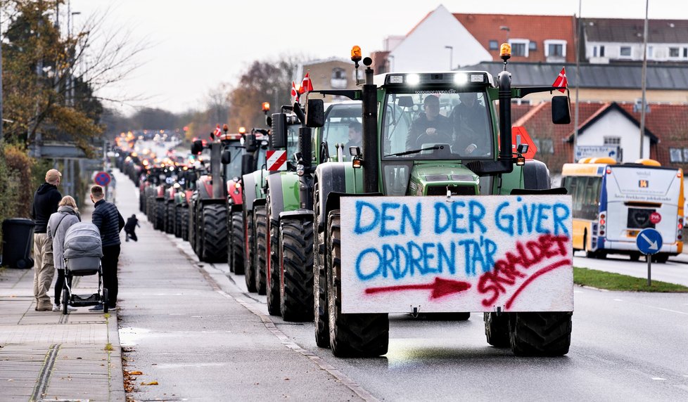 Protesty farmářů a chovatelů proti vybíjení norků v Dánsku.