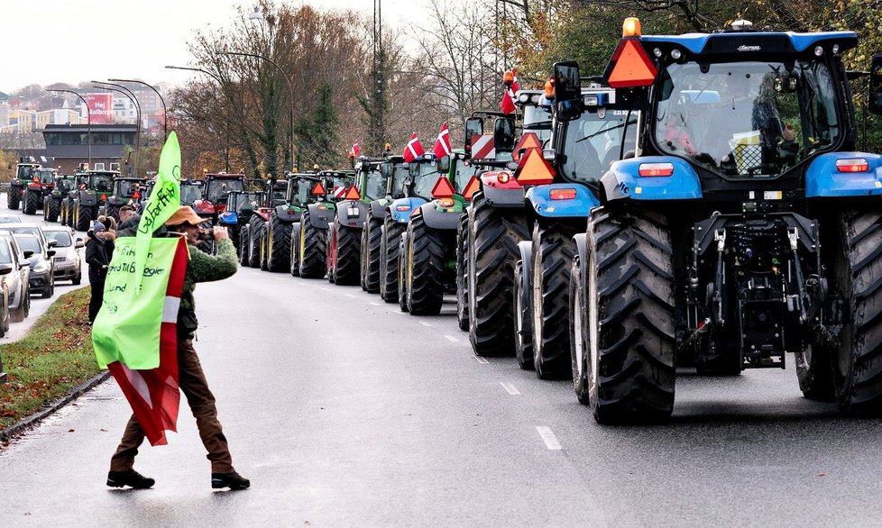 Protesty farmářů a chovatelů proti vybíjení norků v Dánsku.