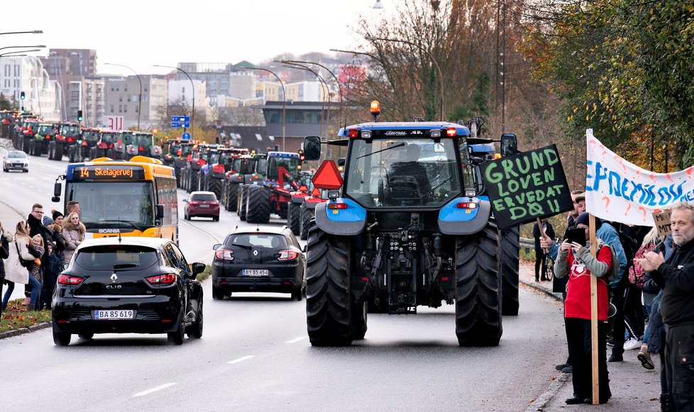 Protesty farmářů a chovatelů proti vybíjení norků v Dánsku.
