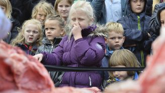 Dánská zoo uspořádala veřejnou pitvu roční lvice